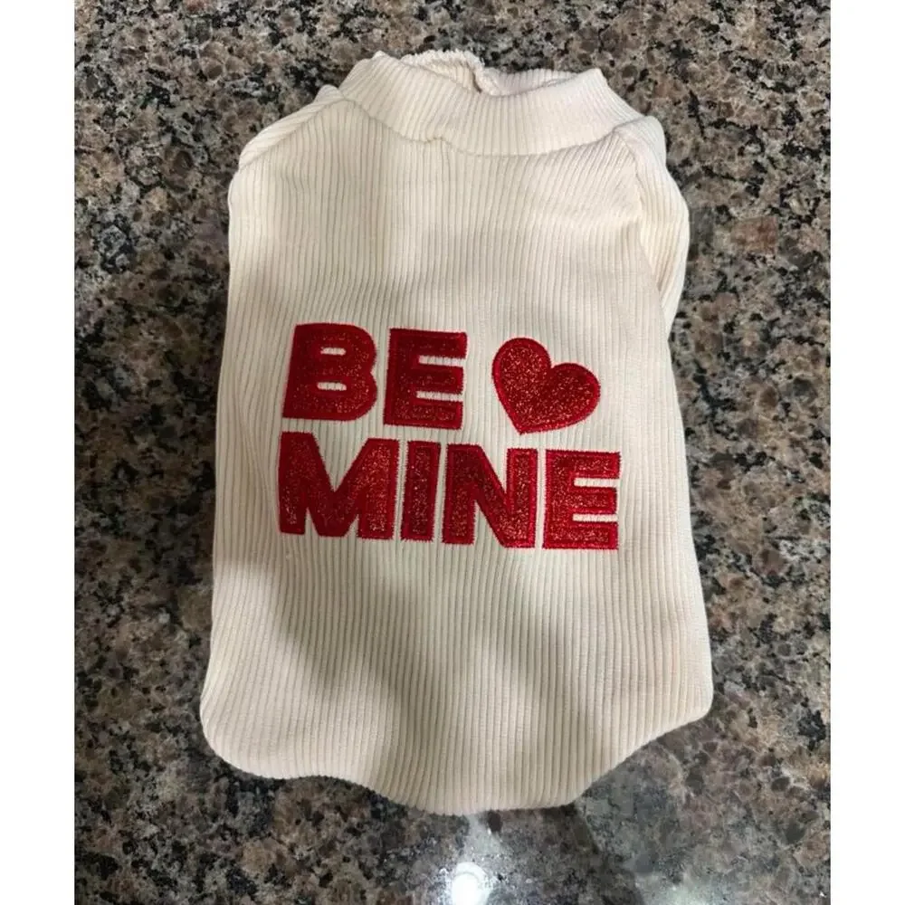 Pet Valentine’s Day outfit
